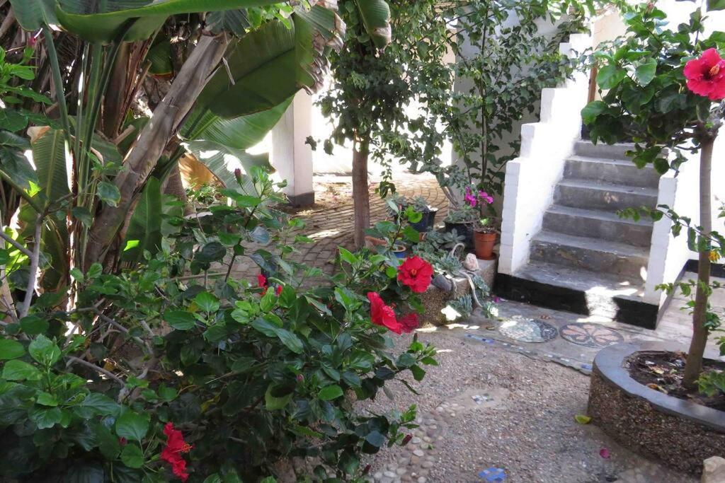 Alternative Space B & B Swakopmund Dış mekan fotoğraf