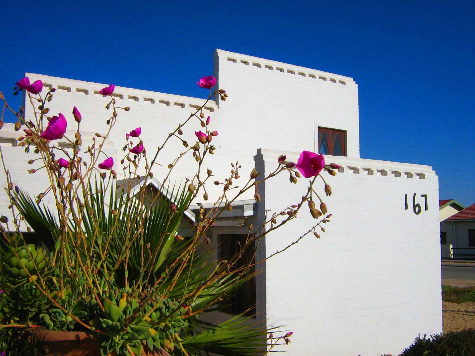 Alternative Space B & B Swakopmund Dış mekan fotoğraf