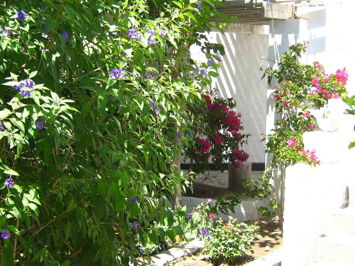 Alternative Space B & B Swakopmund Dış mekan fotoğraf