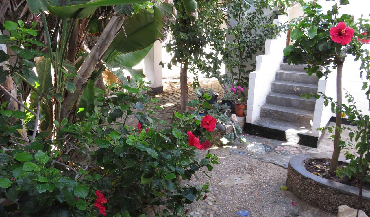 Alternative Space B & B Swakopmund Dış mekan fotoğraf