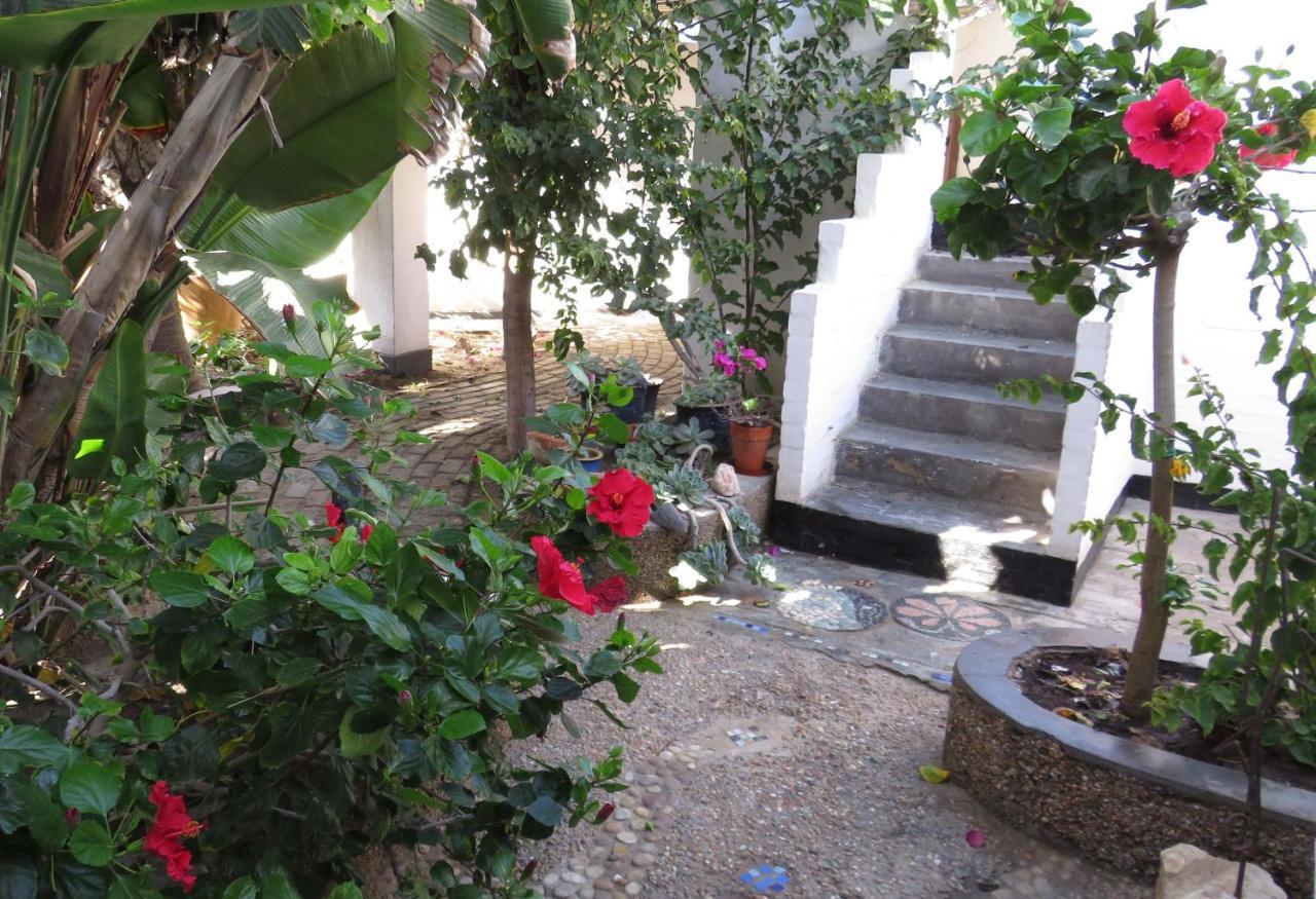 Alternative Space B & B Swakopmund Dış mekan fotoğraf